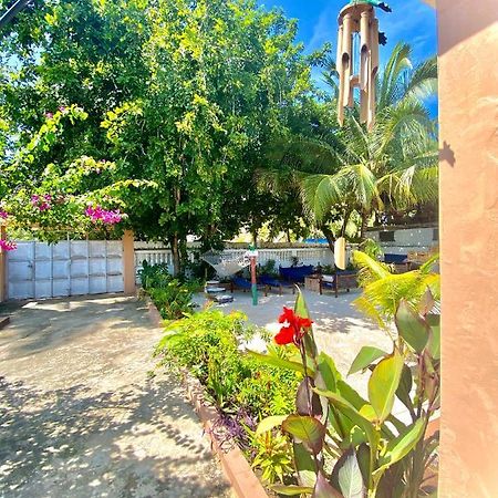 Villa Orchid Beach Guest House Bwejuu Exterior foto