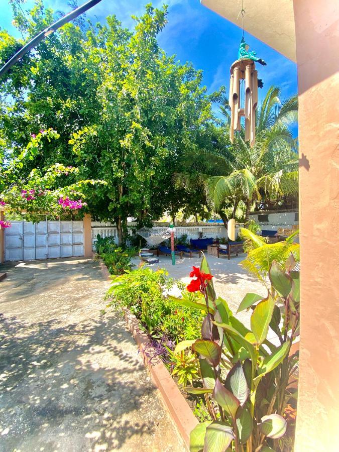 Villa Orchid Beach Guest House Bwejuu Exterior foto