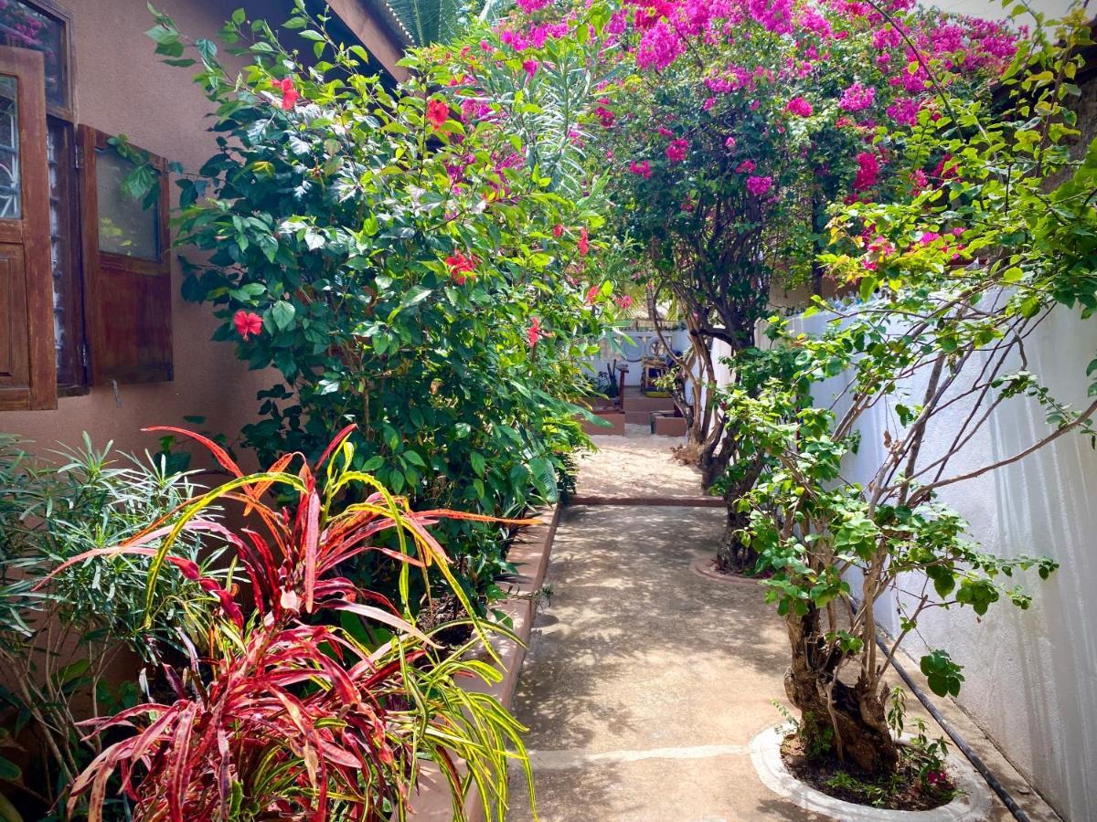Villa Orchid Beach Guest House Bwejuu Exterior foto