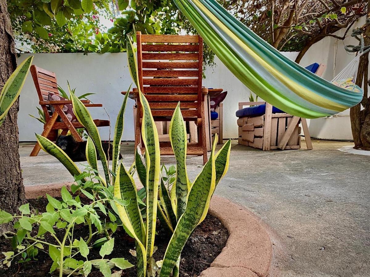 Villa Orchid Beach Guest House Bwejuu Exterior foto